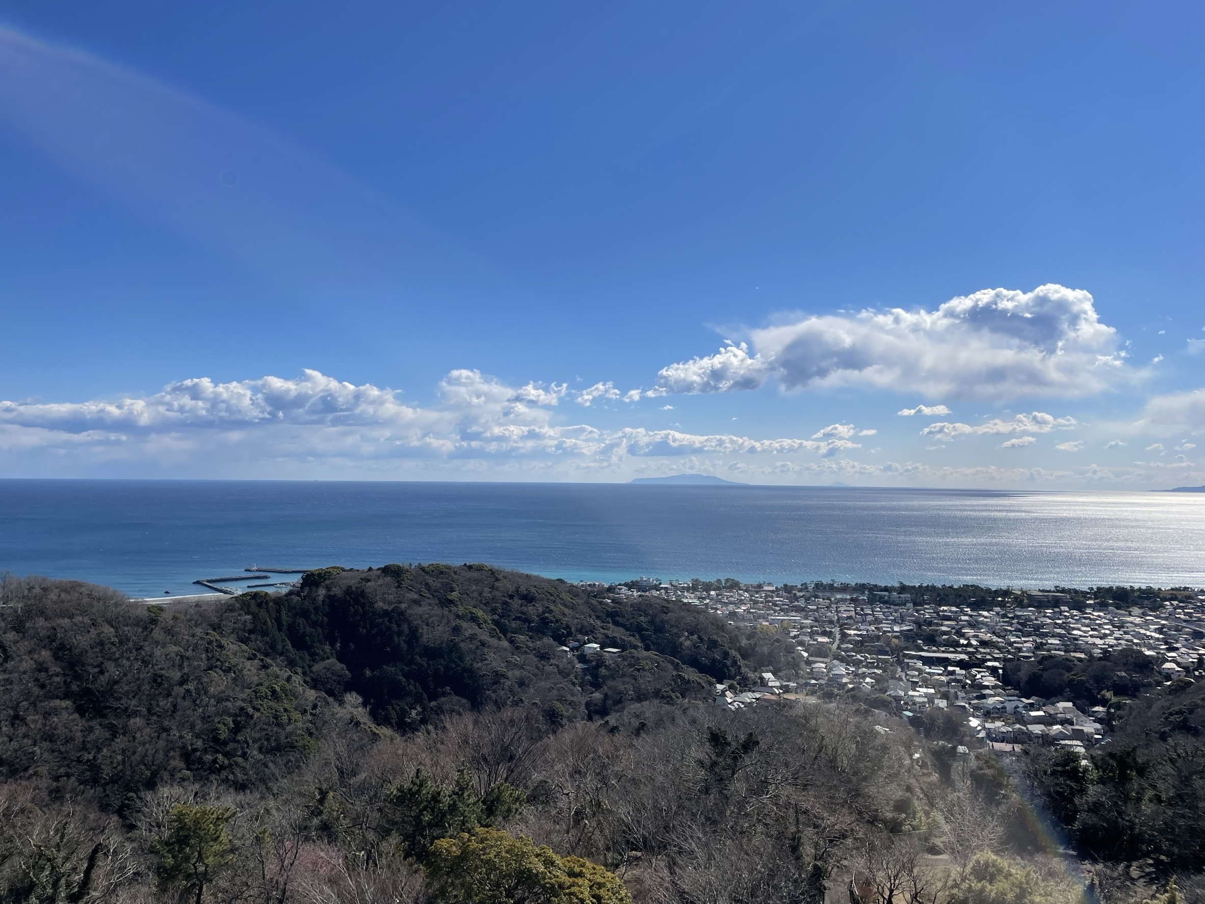 展望台からの景色