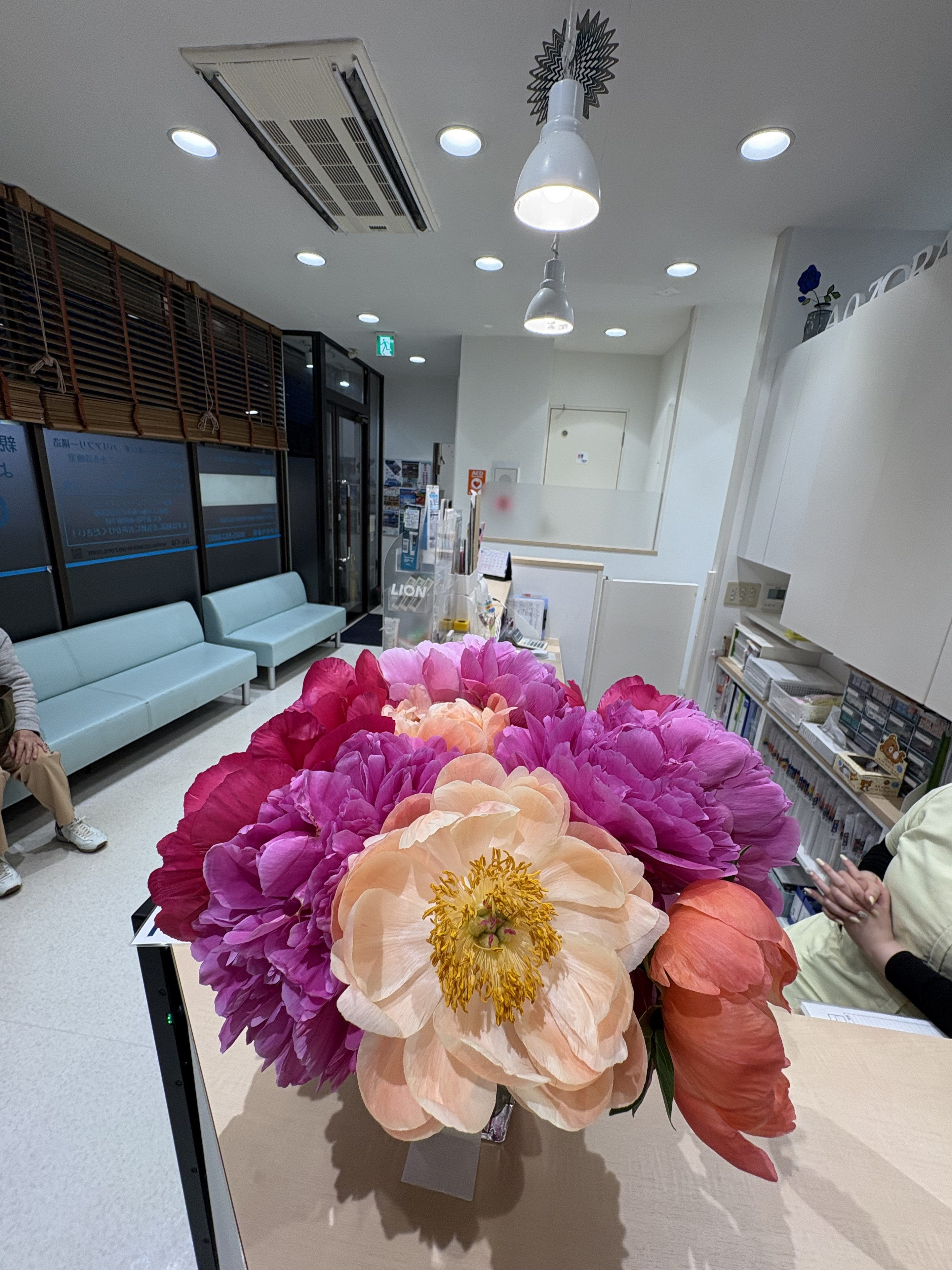 芍薬